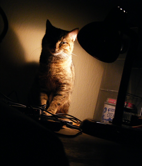 不(bù)打光(guāng)也(yě)能(néng)拍(pāi)攝：三大(dà)“無光(guāng)”攝影(yǐng)技(jì)巧之內(nèi)景篇